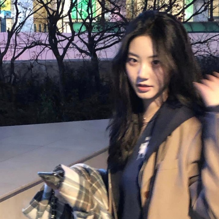 纽约鼠患 封面