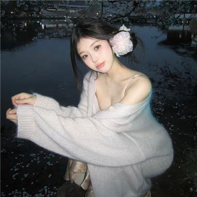 珍禽假意 封面